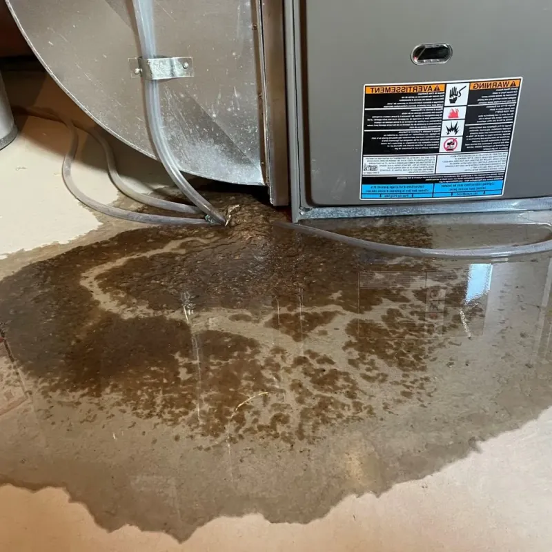 Pipe Burst and Leak Restoration in Landisville, PA