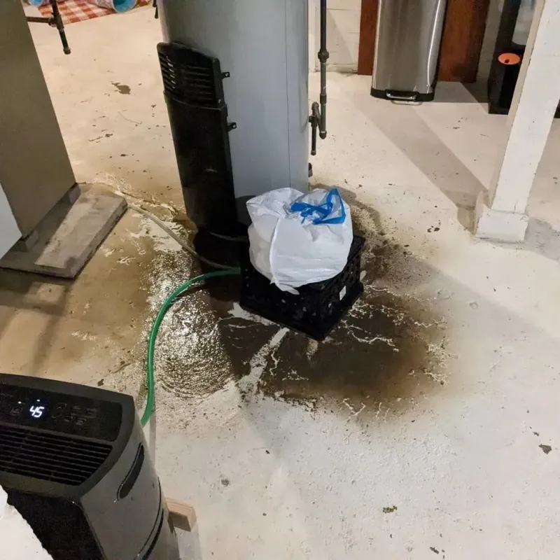 Sewage Backup Cleanup Service in Landisville, PA
